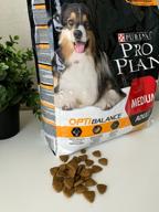 img 3 attached to Dry dog ​​food Pro Plan Opti Balance for medium breeds with chicken 3 kg review by Gabriela Bujanowicz ᠌