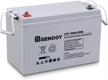 renogy 12v 100ah agm battery: high-performance, low self-discharge, and safe for all your off-grid needs! logo