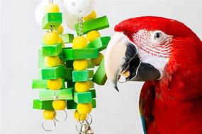img 1 attached to Bird Chewing Toys Combo Set with Banana & SunGrow Wood – Ideal for Parrots, Cockatiels, and Conures – Includes Treats and Cuttlebone!