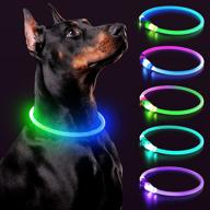 bpawser light up dog collars: rechargeable led collar for safe night walks - multi-color glow, suitable for large, medium, and small dogs logo