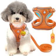 blompet small dog harness with leash set - escape proof air mesh puppy 🐾 vest for walking, adjustable pet reflective strap and bells, easy control for small to medium dogs logo