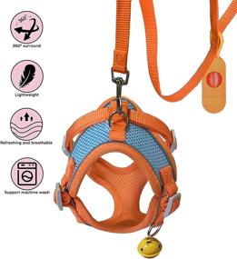 img 3 attached to Blompet Small Dog Harness with Leash Set - Escape Proof Air Mesh Puppy 🐾 Vest for Walking, Adjustable Pet Reflective Strap and Bells, Easy Control for Small to Medium Dogs