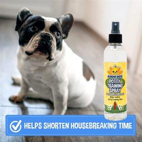 img 2 attached to 🐶 Bodhi Dog Potty Training Spray - Effective Indoor and Outdoor Aid for Dogs & Puppies - Ideal for Puppy Potty Training with Potty Pads - Proudly Made in the USA