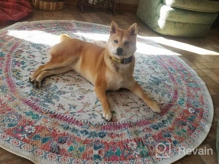 img 1 attached to 3X5 Softwoven Machine Washable Navy And Lt.Blue Rug - Non-Slip, Family & Pet Friendly, Stain Resistant, Non-Shed Traditional Vintage Area Rug For Living Room, Hallway - 90% Cotton review by Kim Knowles