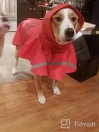 img 1 attached to Stay Stylish And Safe In The Rain With NINEMAX Dog Raincoat - Adjustable Pet Jacket With Reflective Strip For Medium To Large Dogs review by Paul Randall