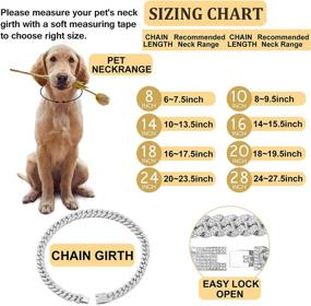 img 2 attached to 🐶 Dazzle Your Pet with a Stylish Cuban Link Dog Collar in Gold or Silver - Premium Metal Chain Collar with Cuban Diamond Design for Dogs and Cats - Available in Multiple Lengths (8/10/14/16/18/20/24/28 Inch)