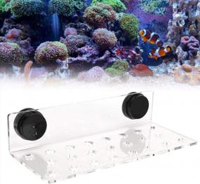 img 2 attached to 23-Hole Acrylic Coral Bracket Base Aquarium Rack Holder For Frag Plugs With Suction Cup By Zerodis