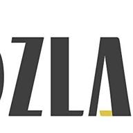 cozlane logo