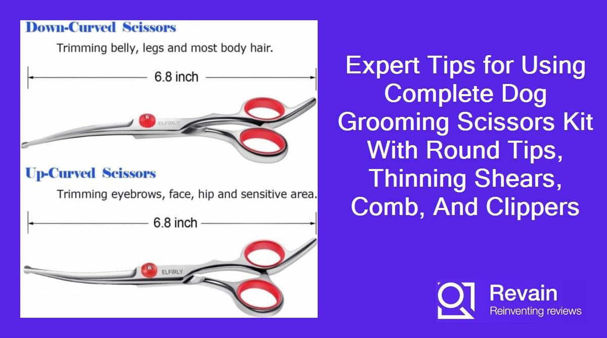 Article Expert Tips for Using Complete Dog Grooming Scissors Kit With Round Tips, Thinning Shears, Comb, And Clippers