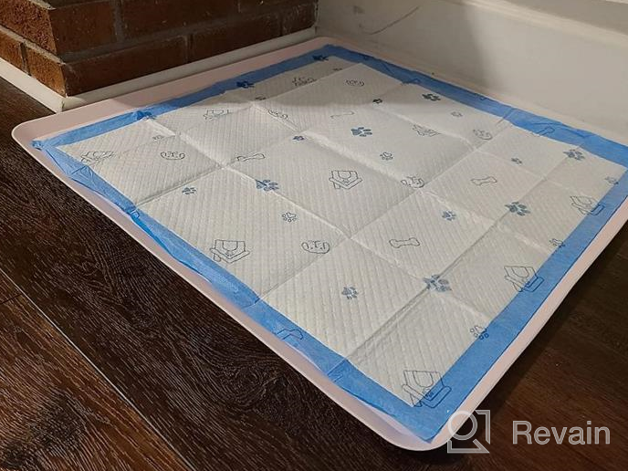 img 1 attached to Skywin Green Dog Puppy Pad Holder Tray - Prevents Spills - Compatible With Most Pee Training Pads - Easy To Clean And Store review by Tony Basler