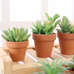 img 1 attached to 80 Pack Yishang 2 Inch Small Terracotta Pots With Drainage Holes - Perfect For Indoor/Outdoor Succulent Plants, Crafts & Wedding Favors!