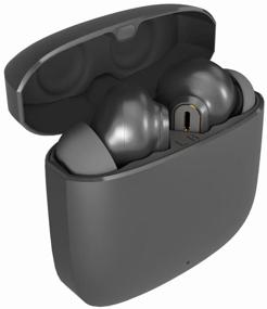 img 2 attached to Wireless Intrachannel Headphones Lyambda True Wireless LTW20-GR Grey