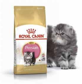 img 1 attached to Dry food for kittens Royal Canin Kitten Persian for Persian kittens from 4 to 12 months 10 kg