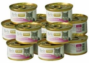 img 1 attached to Wet food for cats Brit Care, with salmon, with tuna 12 pcs. x 80 g (mini fillet)