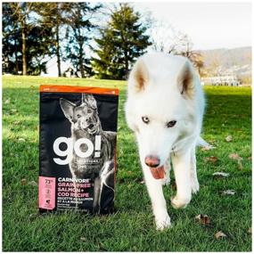 img 2 attached to Dry dog ​​food GO! Carnivore, grain-free, salmon, cod 1 pack x 1 pc. x 9.98 kg