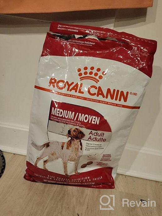 img 1 attached to 17 Lb Bag Of Royal Canin Adult Dry Dog Food For Medium Breeds review by Yousef Clark
