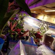 img 1 attached to TBTeek LED Grow Light Strip: Boost Plant Growth With 20W Full Spectrum Sunlight, 4 Dimmable Levels, And Auto ON&Off Timer review by Zachary Jackson