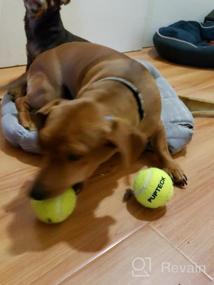 img 7 attached to 6 Pack PUPTECK Tennis Balls For Dogs - Squeaky Bouncy Ball Toys For Outdoor Training & Fetching Playing