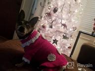 картинка 1 прикреплена к отзыву Joytale Small Dog Sweater Turtleneck Dress: Stylish Winter Cable Knitwear for Cats, Puppies, and Small Dogs от Matt Reid