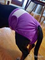 img 1 attached to 3 Pack CuteBone Female Dog Diapers - Small Size D14S For Doggie review by Abidzar Olivas
