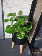 картинка 1 прикреплена к отзыву Effortless Plant Care: KiKiHeim Self-Watering Glass Globes For Indoor And Outdoor Plants - Set Of 2 Hearts от Darren Cole