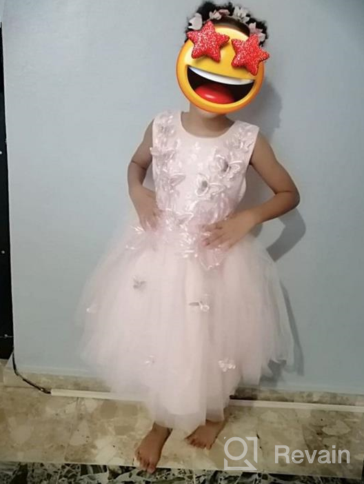 img 1 attached to 🦋 MYRISAM Butterfly Princess Embroidered Girls' Birthday Dress review by April Masters