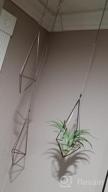 img 1 attached to Chic Air Plant Decor: Dahey'S Himmeli Geometric Display In Bronze review by Michael Woods