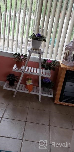 img 1 attached to Rustic Brown 3-Tiered Wooden Plant Stand For Indoor And Outdoor Use - Perfect For Displaying Multiple Flower Pots And Garden Plants review by Ross Sugden