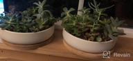 img 1 attached to ZOUTOG 6-inch White Ceramic Succulent Pots with Bamboo Tray - Pack of 2, Flower Planter Pot - Plants Not Included review by Dave Calabro