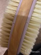 img 1 attached to Long-Handled Dual-Sided Back Scrubber For Shower With Exfoliating And Soft Bristles By MainBasics review by Gallo Carone