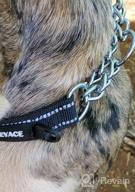 img 1 attached to DEYACE Reflective Martingale Dog Collar With ID-Tag Ring And Soft Padded Adjustable Nylon For Various Breeds review by Delbert Potter