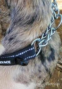 img 6 attached to DEYACE Reflective Martingale Dog Collar With ID-Tag Ring And Soft Padded Adjustable Nylon For Various Breeds