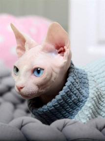 img 1 attached to Hairless Breathable Turtleneck Peterbald Assorted Cats