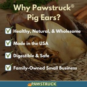img 3 attached to Jumbo Pig Ears премиум-класса, сделанные в США, для собак — жевательная резинка из натуральной и цельной свинины для оптимального здоровья зубов — массовые лакомства с Prime Gnaw — без искусственных ингредиентов или ароматизаторов