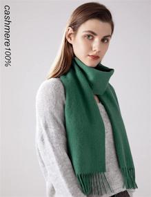 img 2 attached to 🧣 Jushkune Cashmere Solid Wintry Women's Scarves & Wraps – Timeless Fashion Accessories