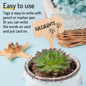 img 2 attached to Whaline 30-Pack T-Type Bamboo Plant Labels With Marker Pen, Wooden Garden Sign Tags For Seedlings, Potted Herbs, Flowers, And Vegetables (6 X 10 Cm)