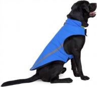 stay warm and safe: ultimate dog jacket for winter hikes, camping & outdoor activities - reflective, lightweight and easy to wear pet coat available in s, m, l sizes логотип