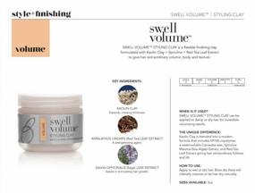 img 1 attached to Get Fuller And Thicker Hair With Brocato Swell Volume Styling Clay - 2 Oz Hair Volumizing & Thickening Solution For Men And Women!