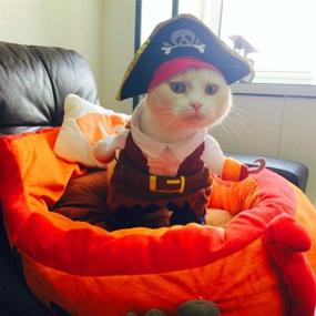 img 2 attached to 🐱 Idepet Funny Pet Pirate Costume Suit with Hat - Dress up Your Cat or Dog for a Corsair Themed Party (Size S)
