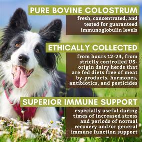 img 3 attached to 🐱 Organic Colostrum Powder for Dogs, Cats, and Puppies - Immune Support, Allergy Relief, Gut Health - Made in USA