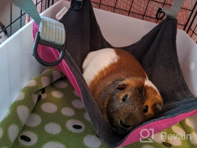 img 1 attached to 🐹 Cozy Hangout: Homeya Small Animal Guinea-Pig Hanging Hammocks Bed - Perfect for Ferrets, Cats, Rats, Chinchillas, Hamsters, and More! review by Robert Johnson