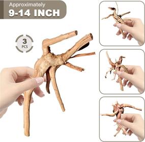 img 3 attached to WDEFUN Украшения для аквариума из коряги