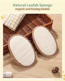 img 3 attached to Eco-Friendly Biodegradable Natural Loofah Exfoliating Tools: Gentle Skin Care at Your Fingertips