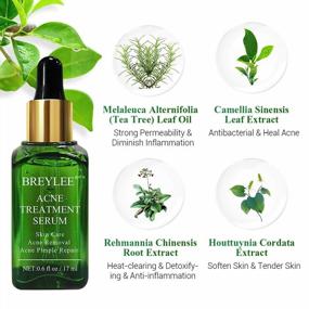img 2 attached to 🌿 Clear Severe Acne with BREYLEE Tea Tree Clear Skin Serum – Pimple Remover & Skin Repair