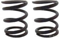 arc racing (2) set of 22 pound valve springs logo