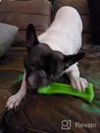 img 1 attached to Unbreakable Oneisall Dog Chew Toy For Aggressive Puppy Chewers review by Paul Hubbard