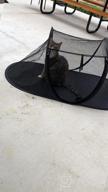 img 1 attached to Cat Tent Outdoor, Pet Enclosure Tent Suitable For Cats And Small Animals, Indoor Playpen Portable Exercise Tent With Carry Bag（Black） review by Mike Sutton