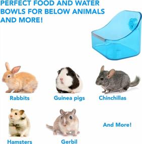img 3 attached to Tip-Proof Food Bowls For Small Pets - 2 Pack Of CalPalmy Food And Water Bowls For Rabbits, Chinchillas, And Guinea Pigs