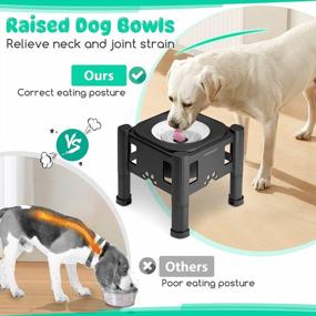 img 2 attached to Raised Dog Water Bowl 3 Height Adjustable Non-Slip Slow Feeder 2.2L Large Capacity No Spill Messy Drinkers For Dogs, Cats & Pets By URPOWER 75Oz
