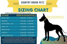 img 1 attached to Country Brook Design Martingale Heavyduty Dogs good in Training & Behavior Aids